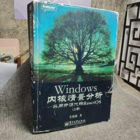 Windows内核情景分析：采用开源代码ReactOS