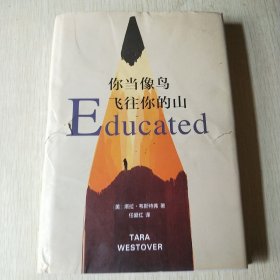 你当像鸟飞往你的山
