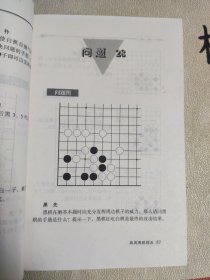 李昌镐精讲围棋手筋（第2卷）：第二卷