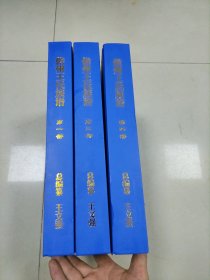 儋州王氏族谱 第一部 第三部 第四部