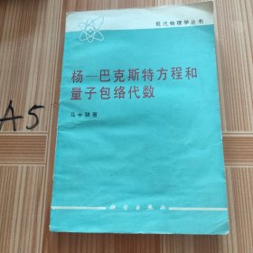 杨-巴克斯特方程和量子包络代数（现代物理学丛书）