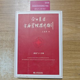 企业集团全面管理提升指引