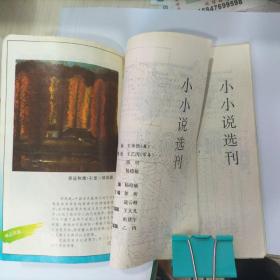 小小说选刊1996.13 装订错版 收藏用，罕见错误