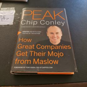 Peak：How Great Companies Get Their Mojo from Maslow