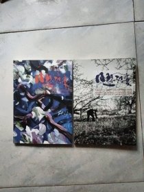 日瑟浩奕【2本一套】和丽斌2005-2014年绘画与行为 和丽斌2003-2014年云南当代艺术评论与访谈