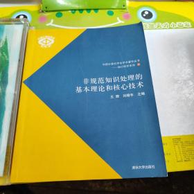 非規(guī)范知識處理的基本理論和核心技術