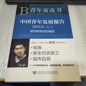 中国青年发展报告. （2013）No.1：城市新移民的崛起