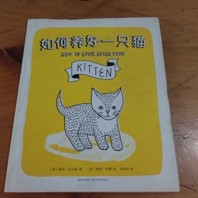 如何养好一只猫