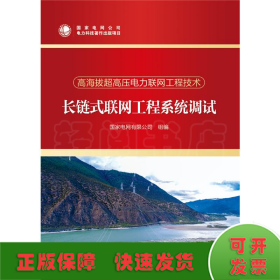 長鏈式聯(lián)網工程系統(tǒng)調試/高海拔超高壓電力聯(lián)網工程技術