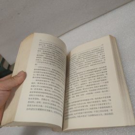 徐向前传