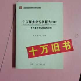 中国服务业发展报告（2012）：新兴服务业发展战略研究