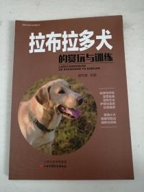 拉布拉多犬的赏玩与训练