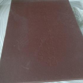 正版实拍：杨雯行书岳阳楼记/传世典藏当代名家长卷精品