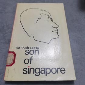 Son of Singapore