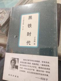 黑铁时代：王小波全集：8