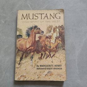 MUSTANG WILD SPIRIT OF THE WEST西部野马狂野精神