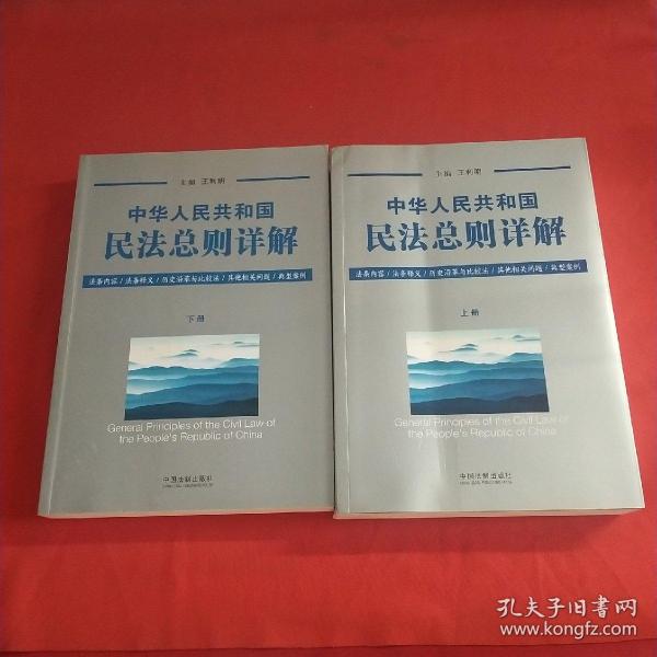 中华人民共和国民法总则详解（套装上下册）