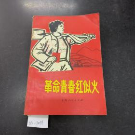 革命青春红似火