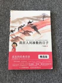 我在人间凑数的日子