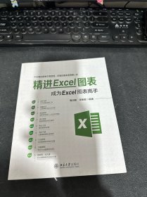 精进Excel图表成为Excel图表高手