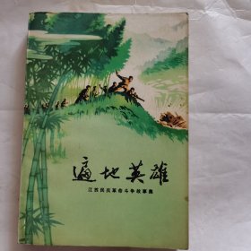 遍地英雄——江苏民兵革命斗争故事集（品相如图）