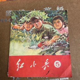 红小兵 5
