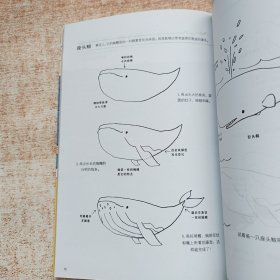 兔本幸子的插画教室：可爱动物篇