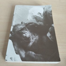 最后的拥抱 动物与人类的情绪