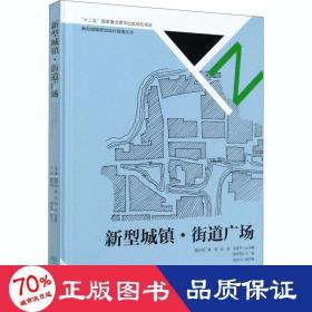 新型城镇街道广场(精)/新型城镇规划设计指南丛书