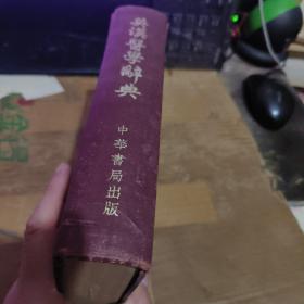 英汉医学辞典 （ 精装）