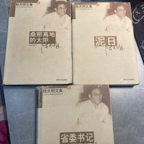 陆天明文集：1桑娜高地的太阳（精装）2泥日（平装）6省委书记（精装） 【三本售】