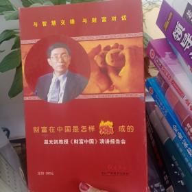财富在中国是这样练成的 3VCD
