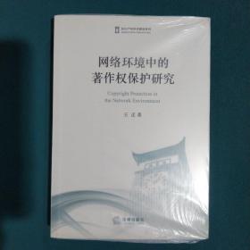 网络环境中的著作权保护研究