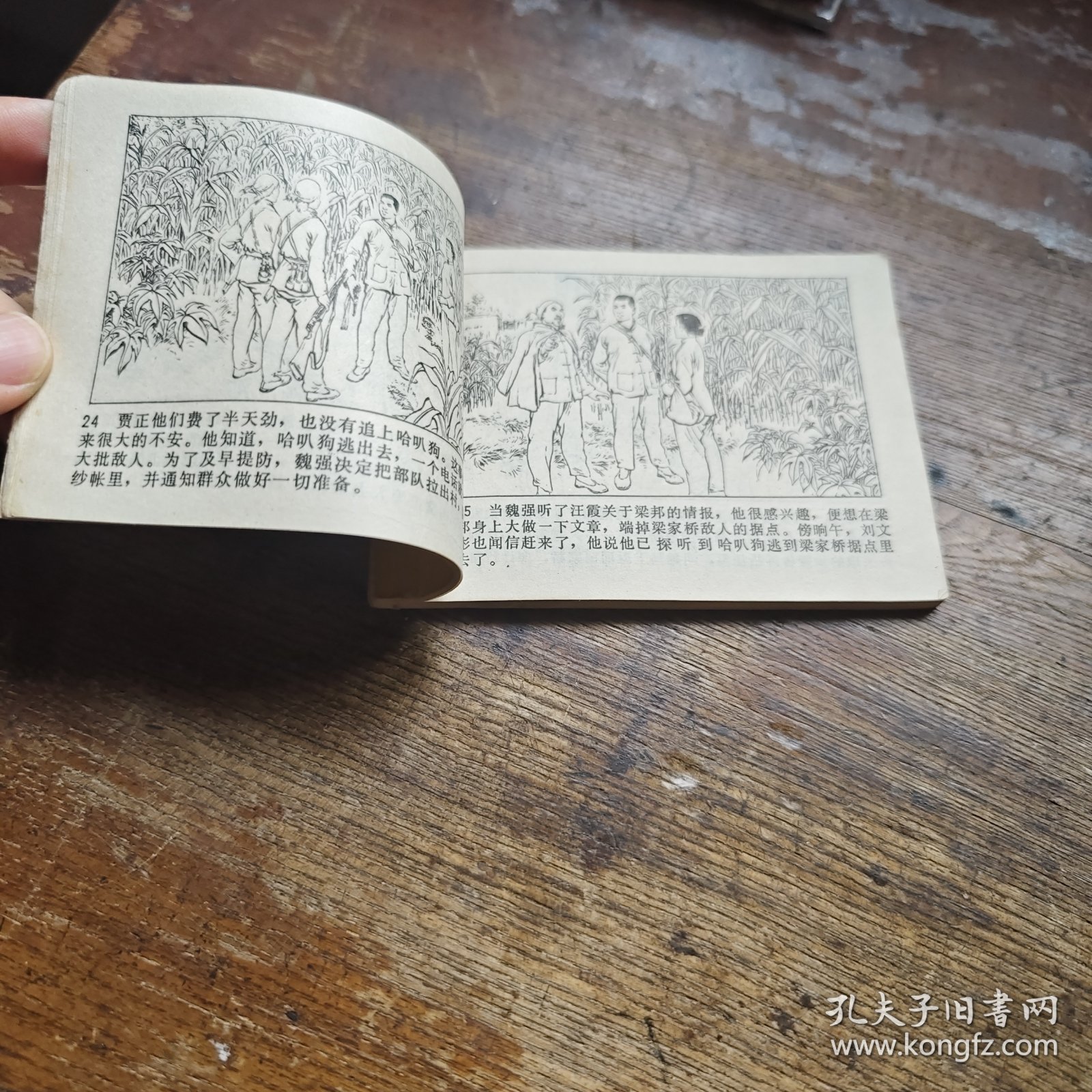 敌后武工队（五）