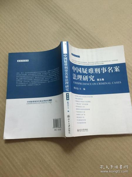 中国疑难刑事名案法理研究（第5卷）