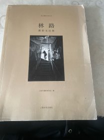 林路-摄影文论集：林路摄影文论集