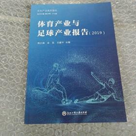 体育产业与足球产业报告(2019)/文化产业系列报告