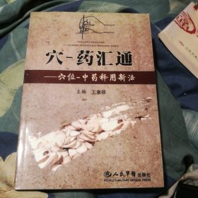 穴-药汇通：穴位-中药释用新法