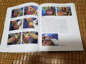 骨科标准手术技术丛书：膝关节置换术（第3版）