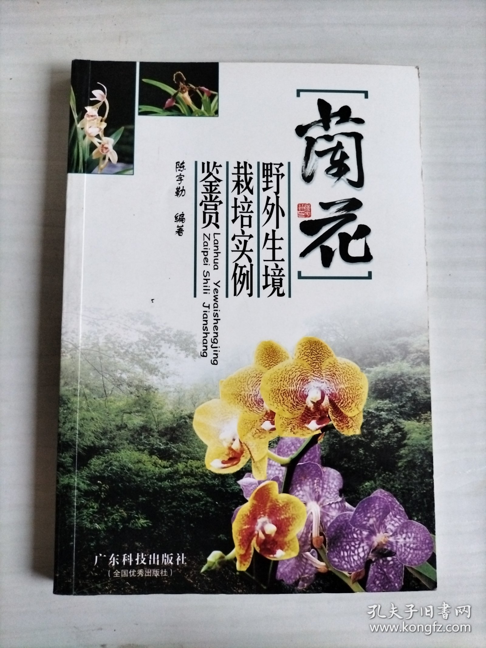 兰花：野外生境 栽培实例 鉴赏
