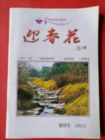 创刊号 迎春花