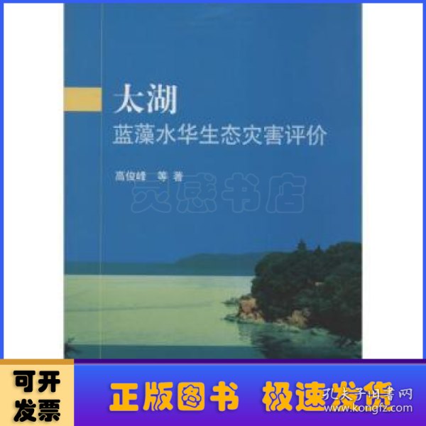 太湖蓝藻水华生态灾害评价