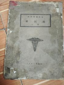 解剖图（1947年陆军兽医学校）