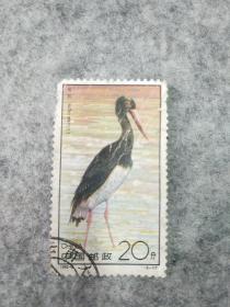 珍禽邮票。