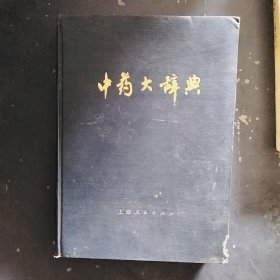 中药大辞典 （上）