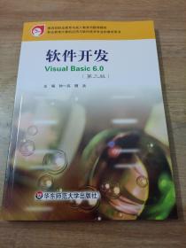 软件开发Visual Basic 6.0