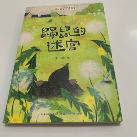 全国优秀儿童文学获奖作家书系 B版 全5册 名人名著精选集 中小学生课外阅读书籍