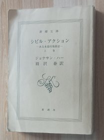 日文书 シビル・アクション 上巻: ある水道汚染訴訟 (新潮文庫 ）ジョナサン ハー (著), Jonathan Harr (原名), 雨沢 泰 (翻訳)