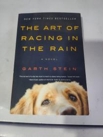 Art of Racing in the Rain The