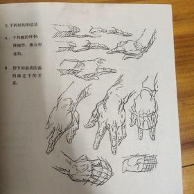 人体艺术解剖资料